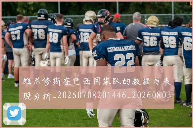 维尼修斯在巴西国家队的数据与表现分析_20260708201446_20260803143031