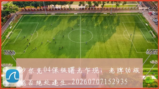 沙尔克04保级曙光乍现，老牌劲旅能否绝处逢生_20260707152935