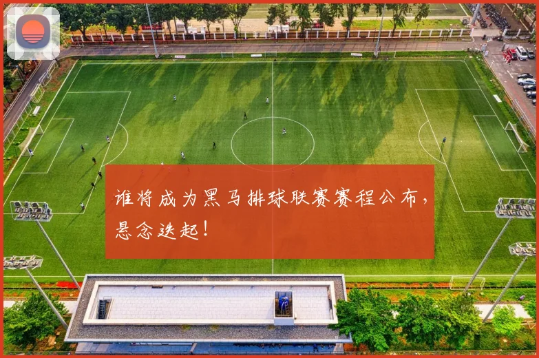谁将成为黑马排球联赛赛程公布,悬念迭起!