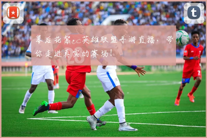 幕后花絮，英雄联盟手游直播，带你走进真实的赛场！