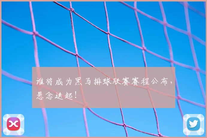 谁将成为黑马排球联赛赛程公布,悬念迭起!